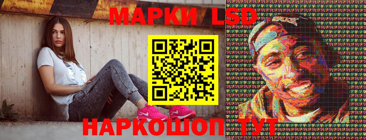 Курчалой  Марки N-bome 1500мкг  где купить наркоту  Вход с VPN  Марки N-bome 1500мкг  Марки 25I-NBOMe 