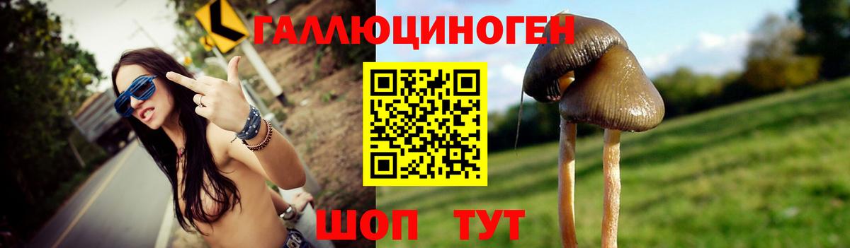 где купить наркоту  Псилоцибиновые грибы ЛСД  Вход с VPN  Курчалой  Псилоцибиновые грибы Magic Shrooms 